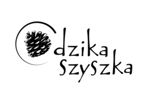 Dzika szyszka